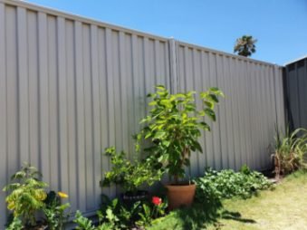 Colorbond fencing in a beautiful garden setting, blending seamlessly with the surroundings in Hobart TAS.